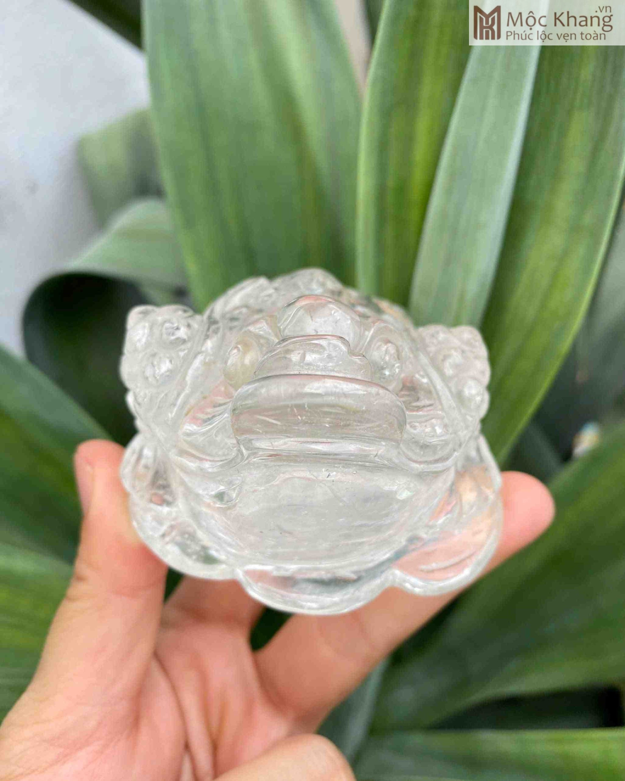 Tượng Thiềm Thừ Thạch Anh Trắng Cao 7.5 (cm) (4)_4 Tượng Thiềm Thừ Thạch Anh Trắng Cao 7.5 (cm)