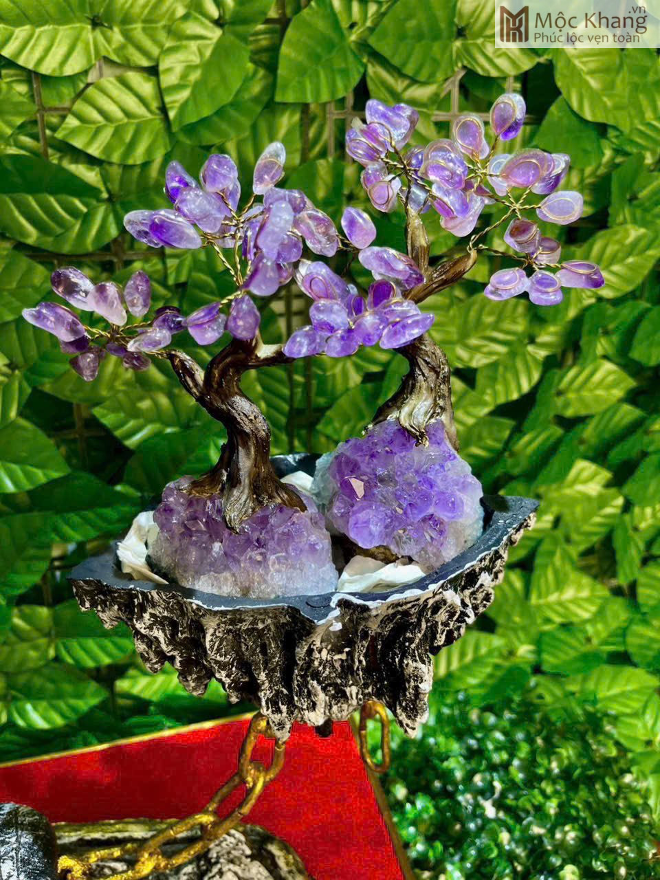 cay-thach-anh-tim-tai-loc-cao-36-cm (4) Cây Thạch Anh Tím Tài Lộc