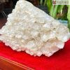 Mầm Tinh Thể Thạch Anh Trắng