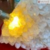 Mầm Tinh Thể Thạch Anh Trắng