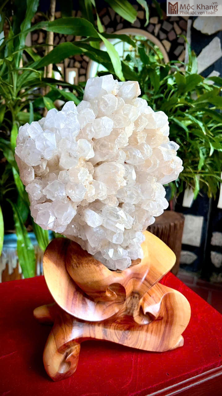 tinh-the-thach-anh-trang-man-lon-cao-46-cm (2) Tinh Thể Thạch Anh Trắng Mầm Lớn
