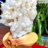 Tinh Thể Thạch Anh Trắng Mầm Lớn