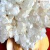 Tinh Thể Thạch Anh Trắng Mầm Lớn