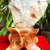 Tinh Thể Thạch Anh Trắng Mầm Lớn