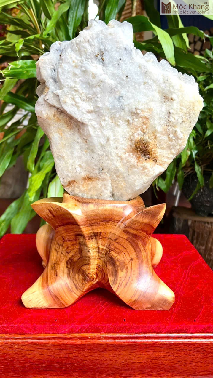 tinh-the-thach-anh-trang-man-lon-cao-46-cm (5) Tinh Thể Thạch Anh Trắng Mầm Lớn