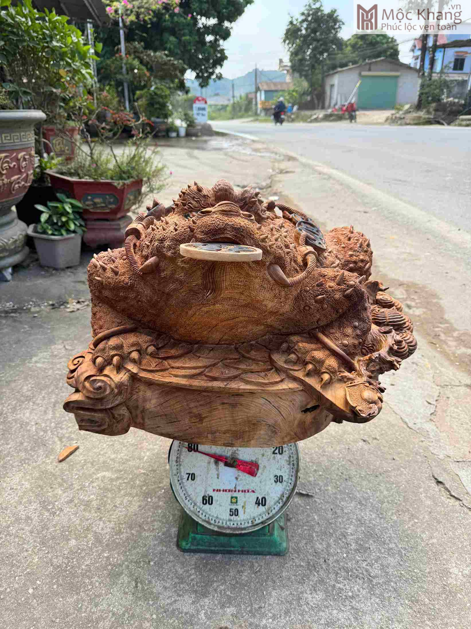 tuong-coc-hoa-long-go-ngoc-am-cao-55-cm (1) Tượng Cóc Hóa Long Gỗ Ngọc Am