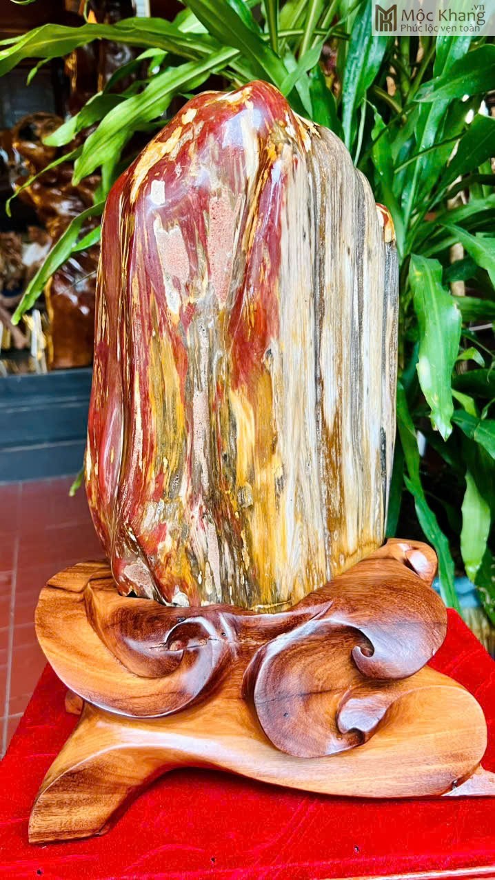 vien-go-hoa-thach-do-cao-45-cm (1) Viên Gỗ Hóa Thạch Đỏ