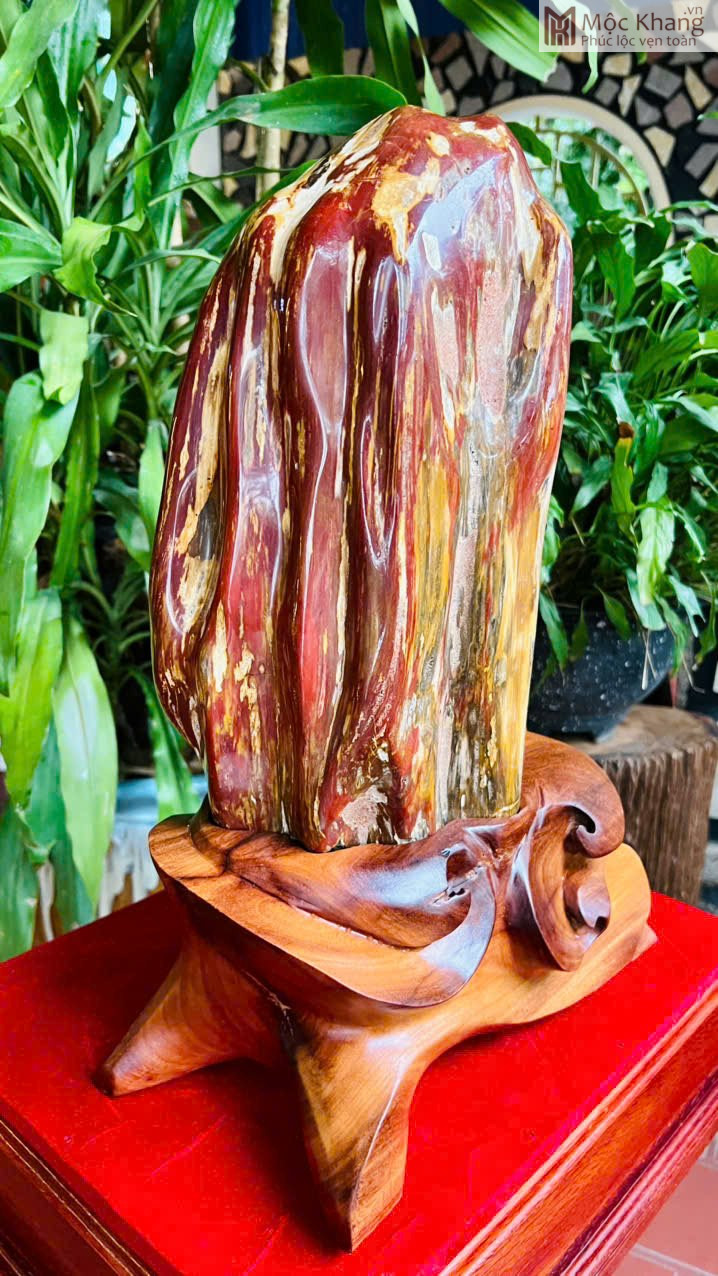 vien-go-hoa-thach-do-cao-45-cm (4) Viên Gỗ Hóa Thạch Đỏ