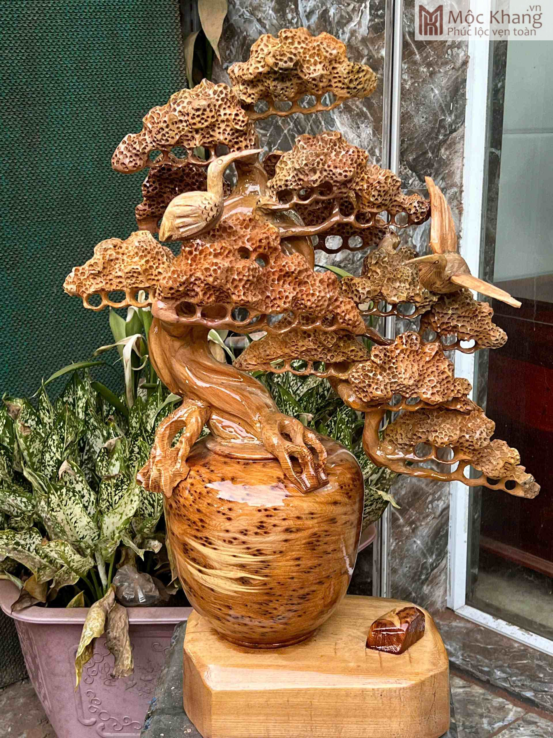 Cây Tùng Bonsai Nu Ngọc Am Cao 70 (cm) (2)_2 Cây Tùng Bonsai Nu Ngọc Am Cao 70 (cm)