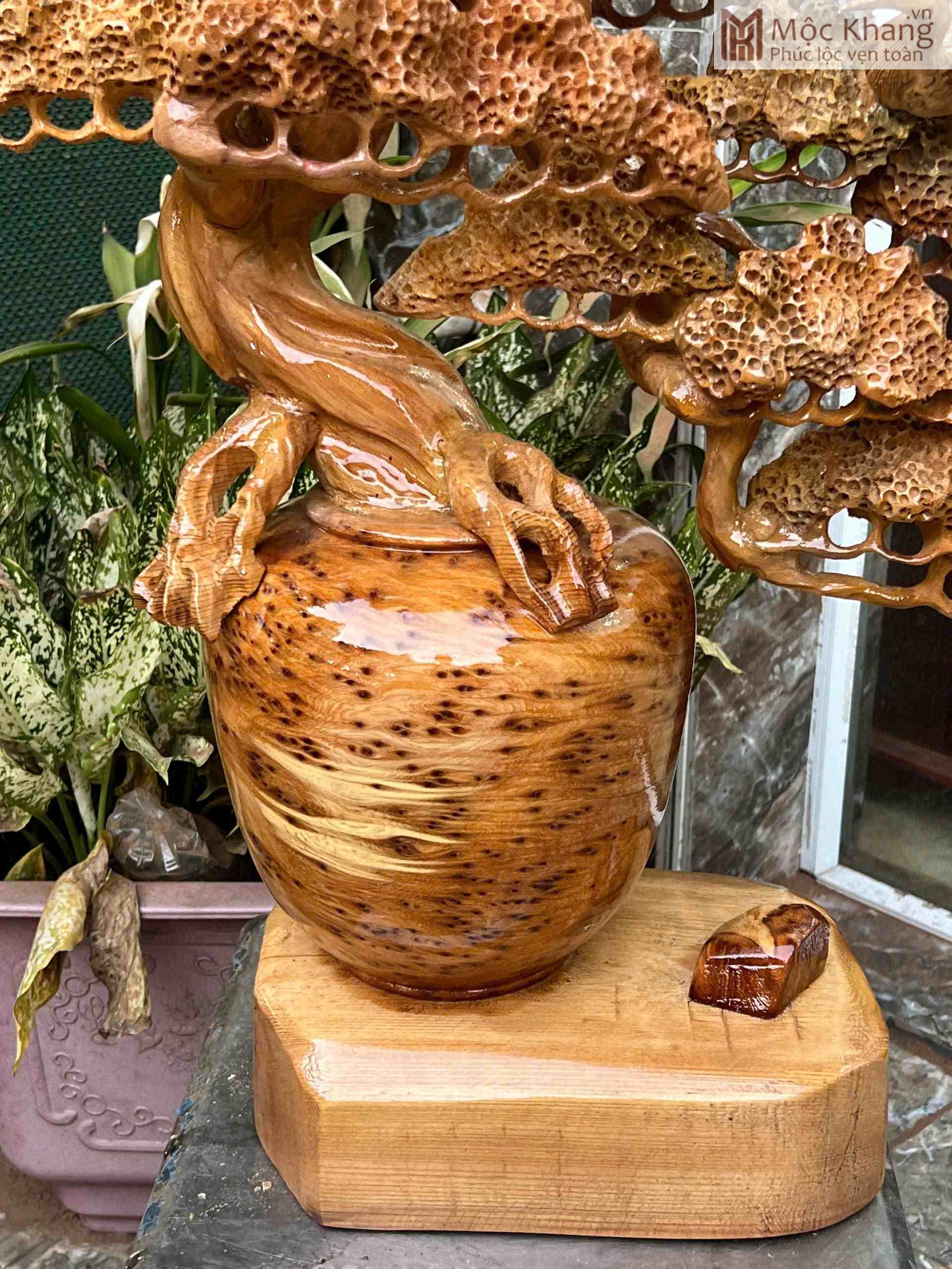 Cây Tùng Bonsai Nu Ngọc Am Cao 70 (cm) (3)_3