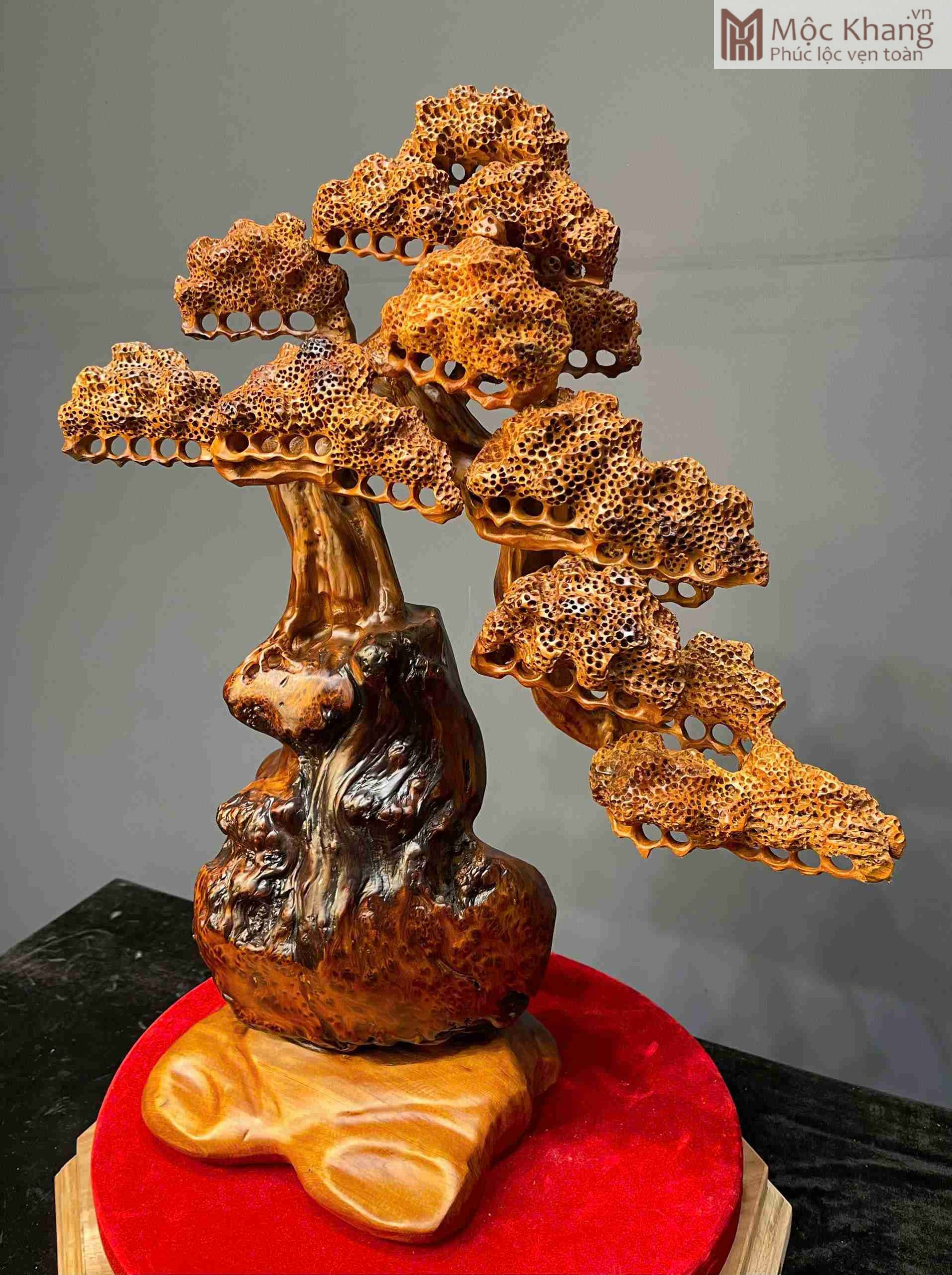 Cây Tùng Dáng Thác Đổ Gỗ Nu Ngọc Am Cao 76 (cm) (4)_4 Cay Tung Dang Thac Do Go Nu Ngoc Am Cao 76 cm 4 4 scaled