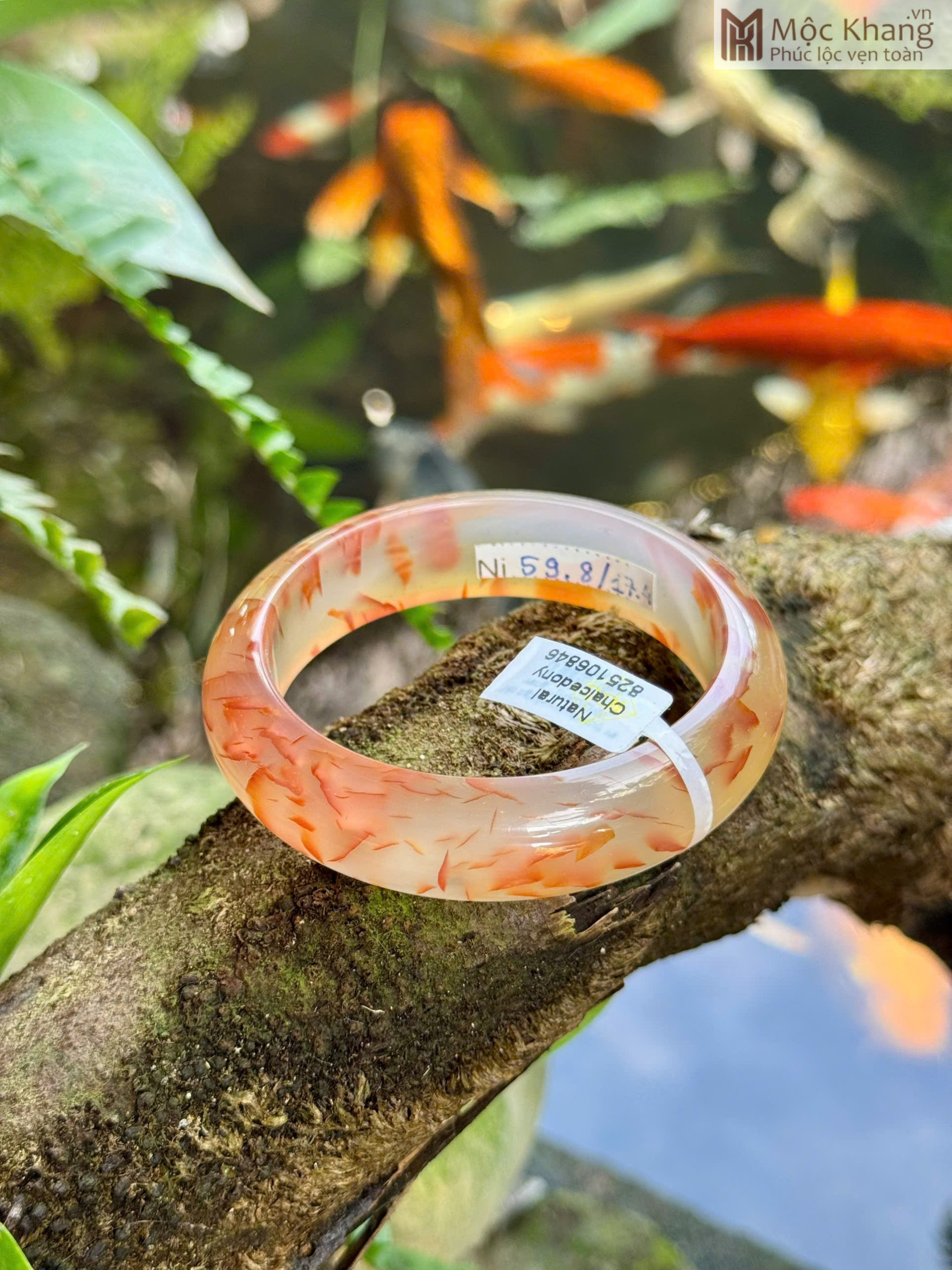 Vòng Bản Chalcedony Vảy Rồng Ni 59.8 (mm) (1) Vong Ban Chalcedony Vay Rong Ni 59.8 mm 1 scaled