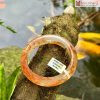 Vong Ban Chalcedony Vay Rong Ni 59.8 mm 2