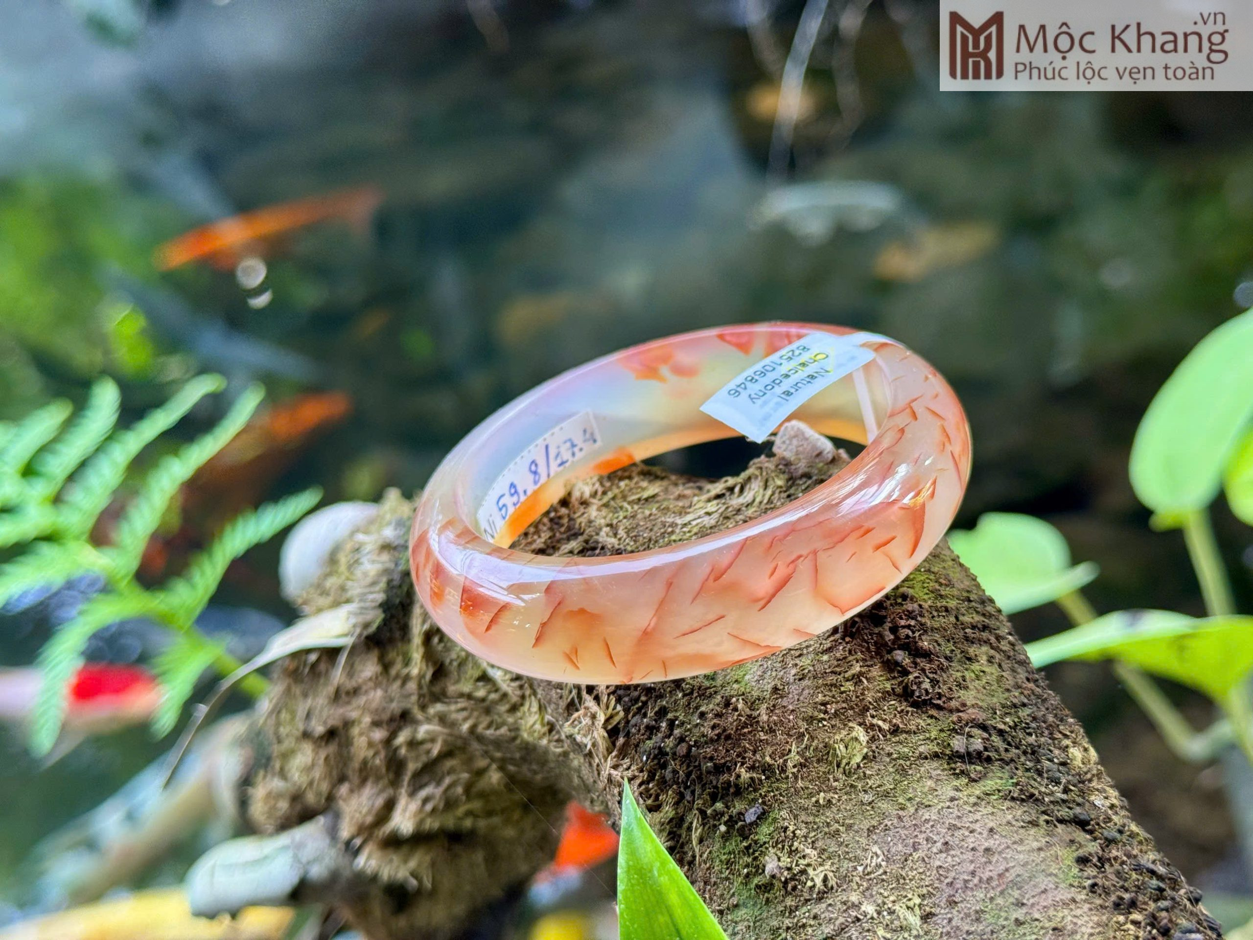 Vòng Bản Chalcedony Vảy Rồng Ni 59.8 (mm) (4) Vòng Bản Chalcedony Vảy Rồng Ni 59.8 (mm)