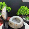 bat tu bao thach anh trang vo ma nao duong kinh 19 cm 2