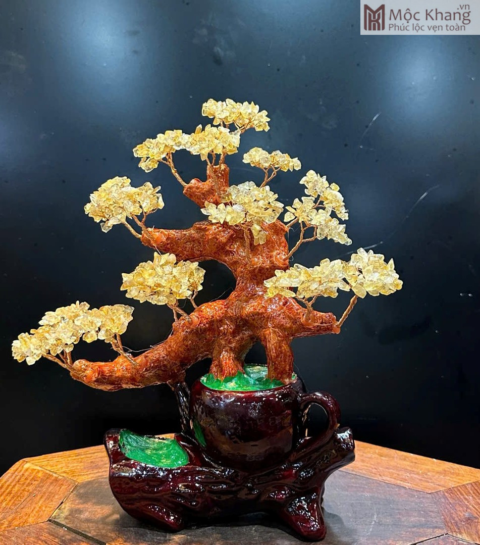 cay-kim-tien-thach-anh-vang-cao-33-cm (1) Cây Kim Tiền Thạch Anh Vàng
