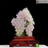 chum nho tai loc ngoc onyx cao 30 cm 2
