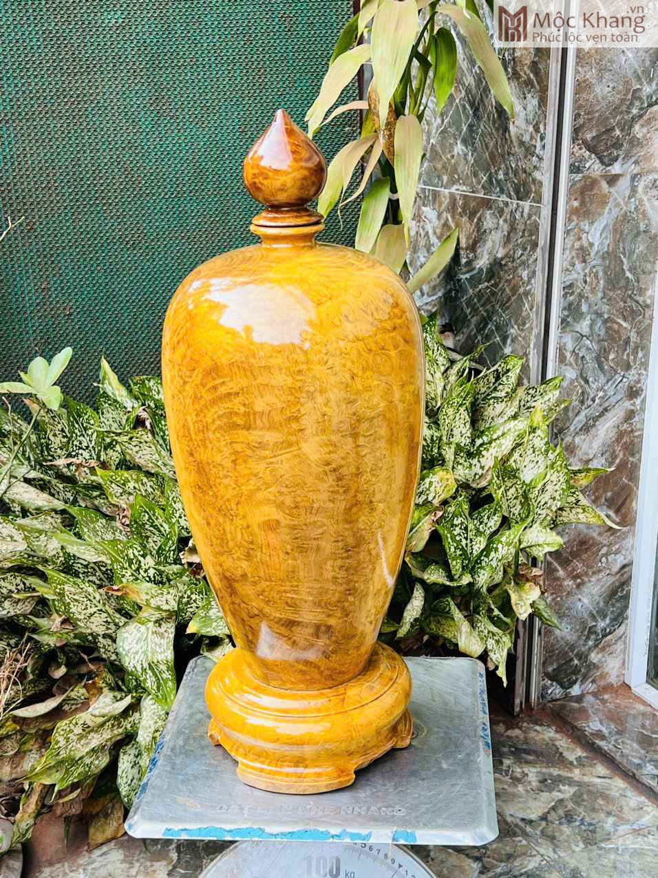 chum-phu-quy-go-nu-khao-cao-80-cm Chum Phú Quý Gỗ Nu Kháo