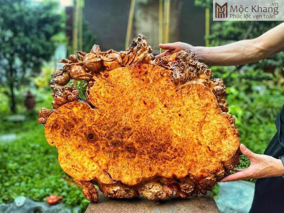 khay-tra-go-nu-huong-ngang-67-cm (1) Khay Trà Gỗ Nu Hương