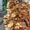 nhat ke tai loc go ngoc am cao 54 cm 4 1