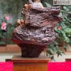 tuong nhat tam bai phat go bach xanh cao 50 cm 3