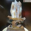 Viên Gỗ Hóa Ngọc