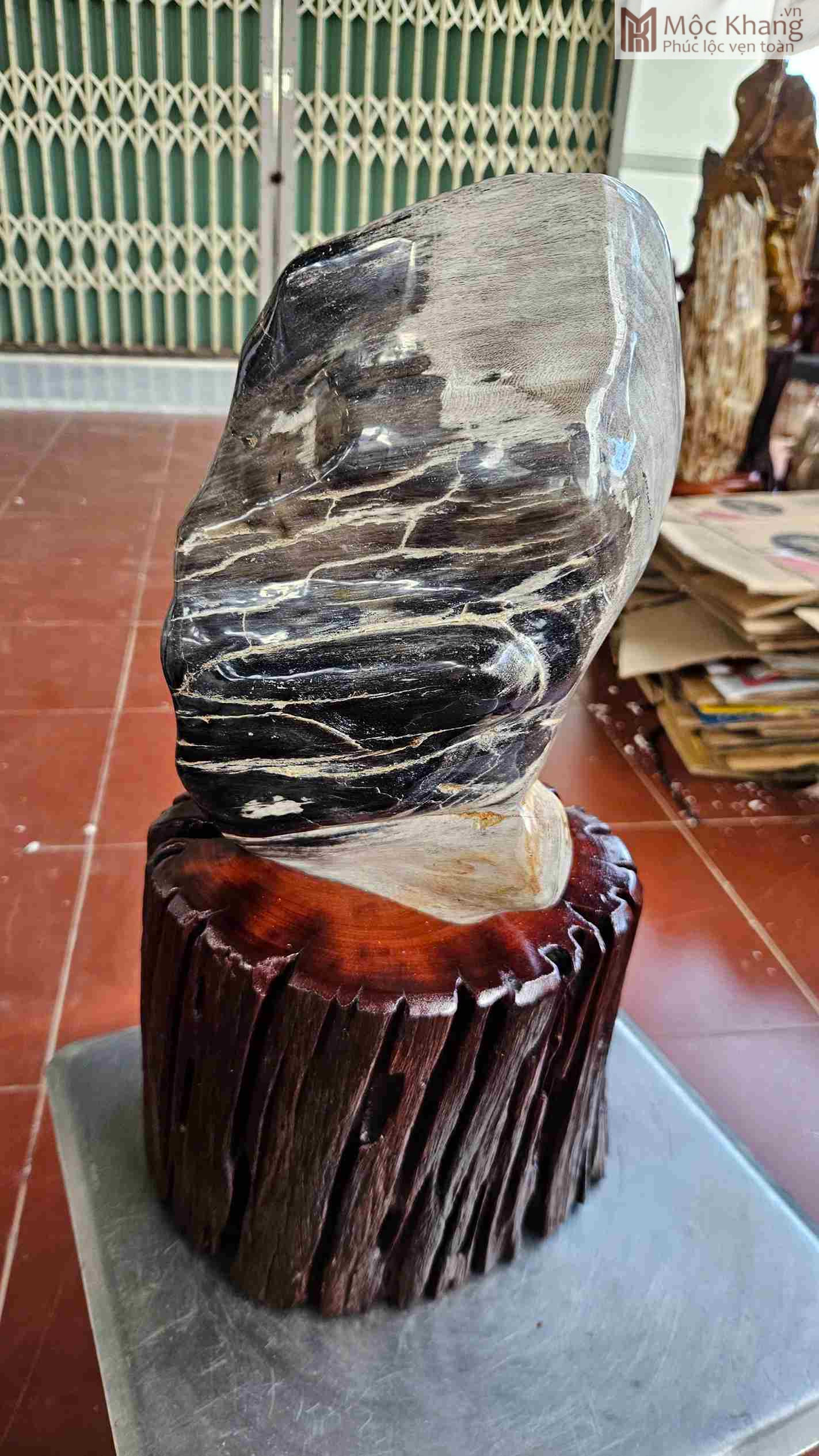 vien-go-hoa-thach-van-den-trang-cao-43-cm (1) Viên Gỗ Hóa Thạch Vân Đen Trắng