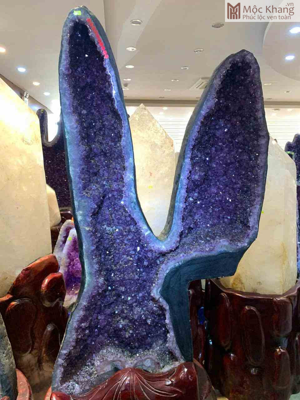 Cặp Động Tinh Thể Thạch Anh Tím Cao 183 - 186 (cm) (4)_4 Cap Dong Tinh The Thach Anh Tim Cao 183 186 cm 4 4