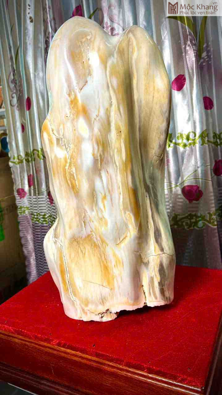 Gỗ Hóa Ngọc Cao 48 (cm) (1)_1