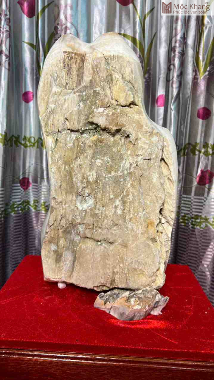 Gỗ Hóa Ngọc Cao 48 (cm) (8)_8 Gỗ Hóa Ngọc Cao 48 (cm)