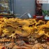 Tac Pham Song Long Go Hoang Dan Ngang 60 cm 1 1