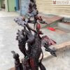 cay muop dang kho qua go trac cao 48 cm 4