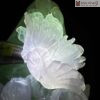 tac pham hoa cuc ngoc fluorite cao 28 cm 2