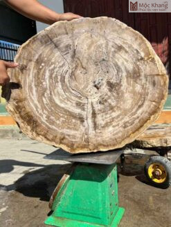 Bàn Gỗ Hóa Thạch Ngang 72 (cm)