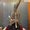 Cảnh Trầm Hương Tự Nhiên Cao 43 (cm)