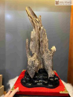 Cảnh Trầm Hương Tự Nhiên Cao 43 (cm)