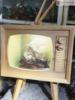 Cây Đá Hoa Ưu Đàm Cao 50 (cm)