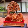 Di Lặc Ngồi Cây Tùng Gỗ Hương Cao 59 (cm)