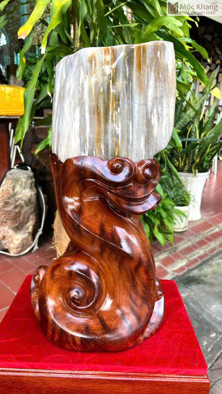 Gỗ Hóa Thạch Cao 55 (cm) (3)_3 Gỗ Hóa Thạch Cao 55 (cm)