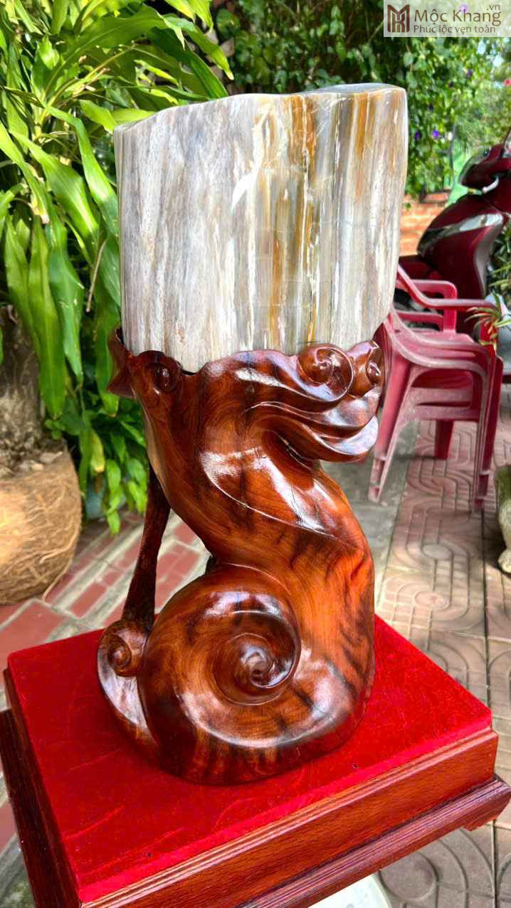 Gỗ Hóa Thạch Cao 55 (cm) (6)_6 Go Hoa Thach Cao 55 cm 6 6