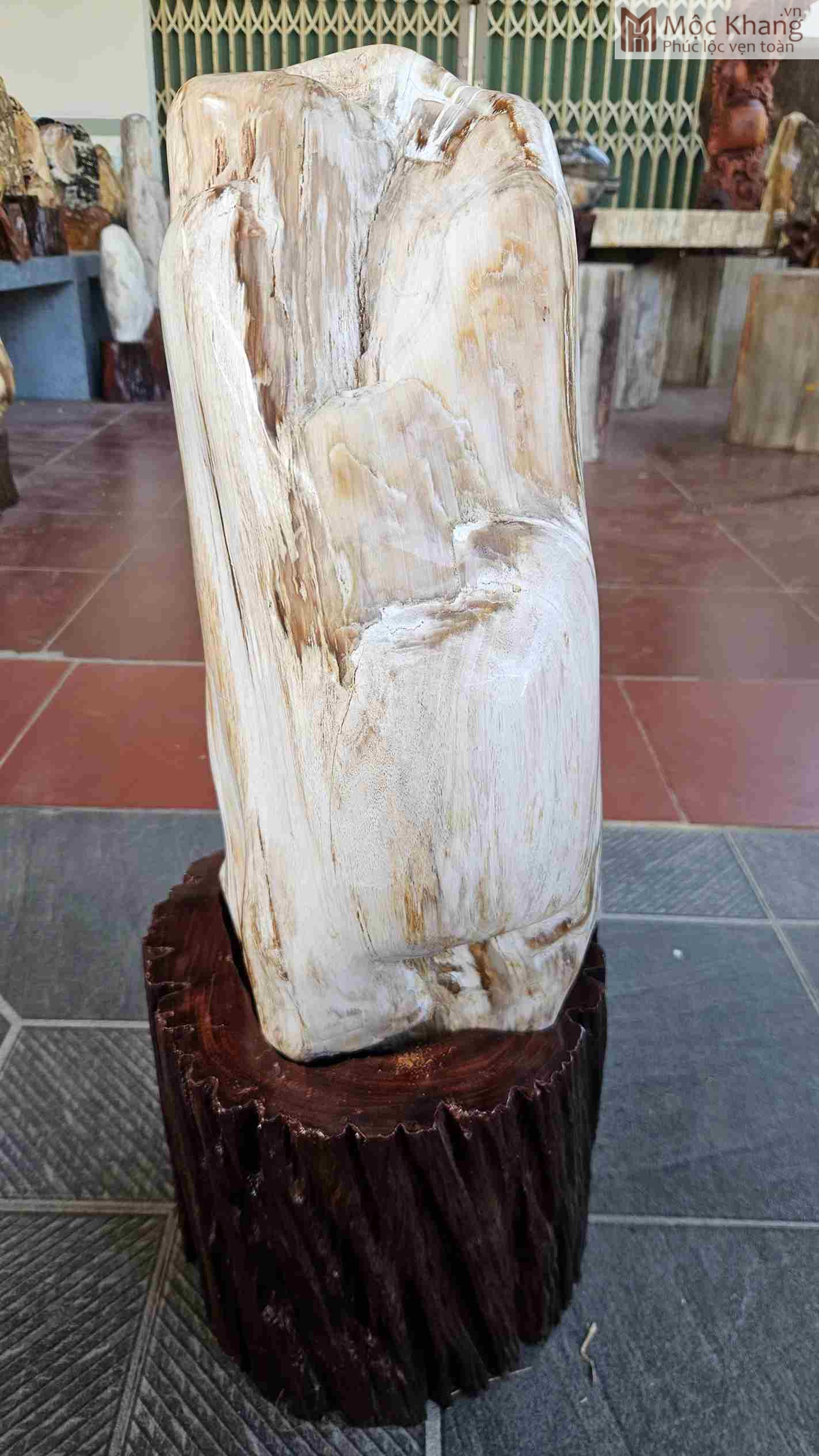 Gỗ Hóa Thạch Chuyển Ngọc Cao 66 (cm) (5)_5