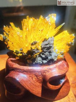 Hoa Ưu Đàm (Aragonite) Cao 12 (cm)