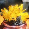 Hoa Uu Dam Aragonite Cao 12 cm 4 4