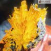 Hoa Uu Dam Aragonite Cao 12 cm 5 5