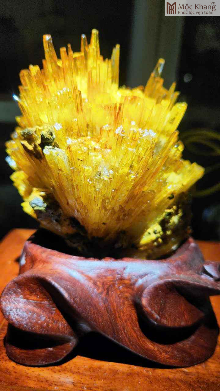 Hoa Ưu Đàm (Aragonite) Cao 15,5 (cm) (1)_1 Hoa Ưu Đàm (Aragonite) Cao 15,5 (cm)