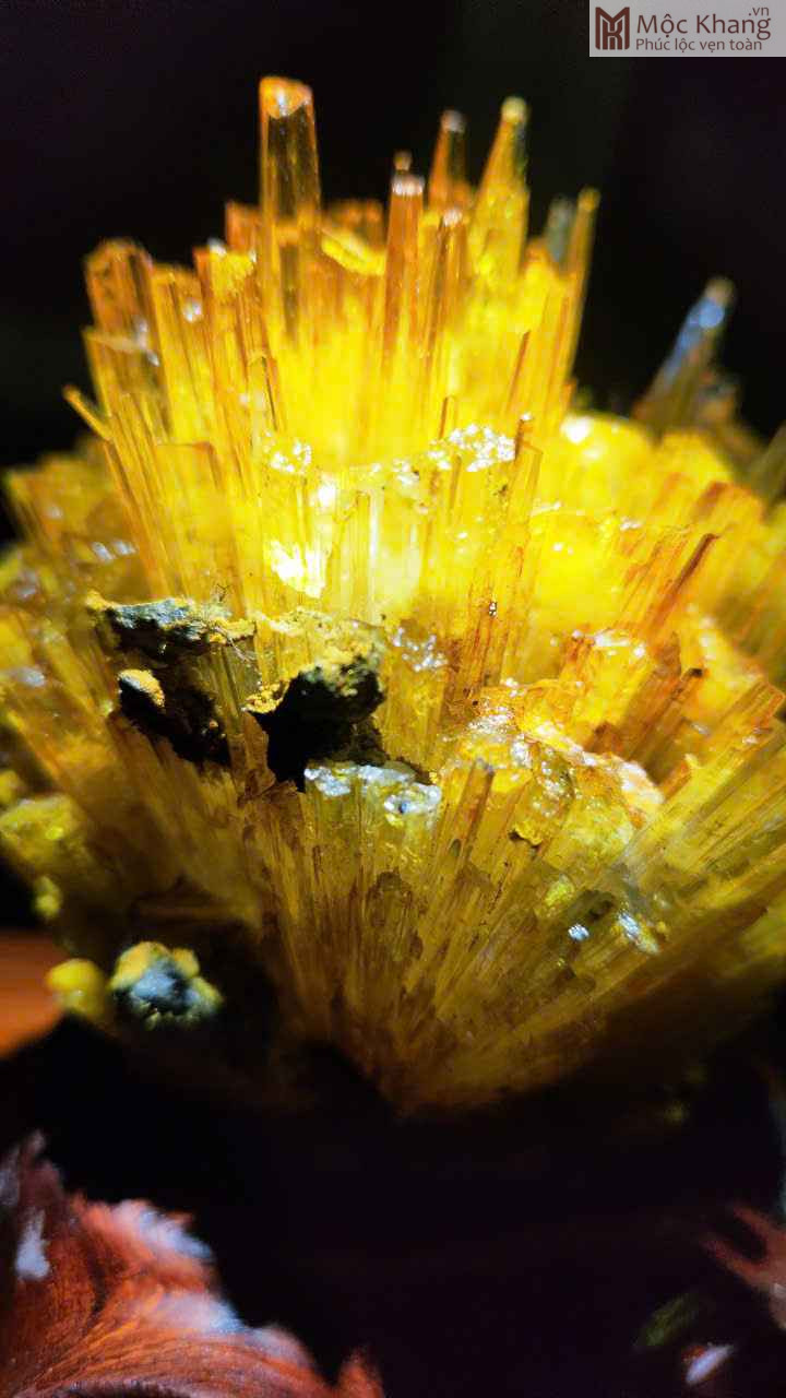 Hoa Ưu Đàm (Aragonite) Cao 15,5 (cm) (2)_2 Hoa Ưu Đàm (Aragonite) Cao 15,5 (cm)