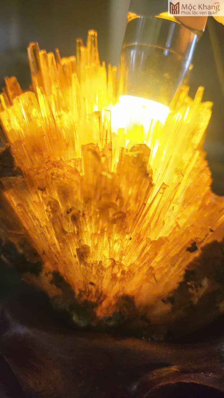 Hoa Ưu Đàm (Aragonite) Cao 15,5 (cm) (3)_3 Hoa Uu Dam Aragonite Cao 155 cm 3 3