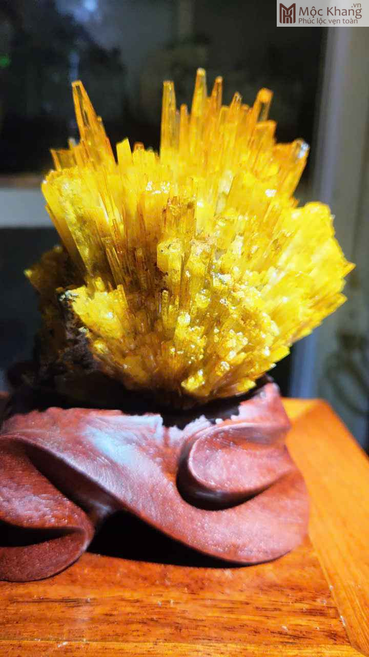 Hoa Ưu Đàm (Aragonite) Cao 15,5 (cm) (4)_4 Hoa Uu Dam Aragonite Cao 155 cm 4 4