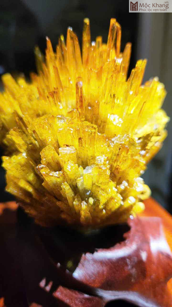 Hoa Ưu Đàm (Aragonite) Cao 15,5 (cm) (5)_5 Hoa Uu Dam Aragonite Cao 155 cm 5 5
