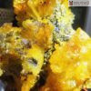 Hoa Uu Dam Aragonite Cao 24 cm 6 6